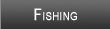 Lake Wappapello Fishing